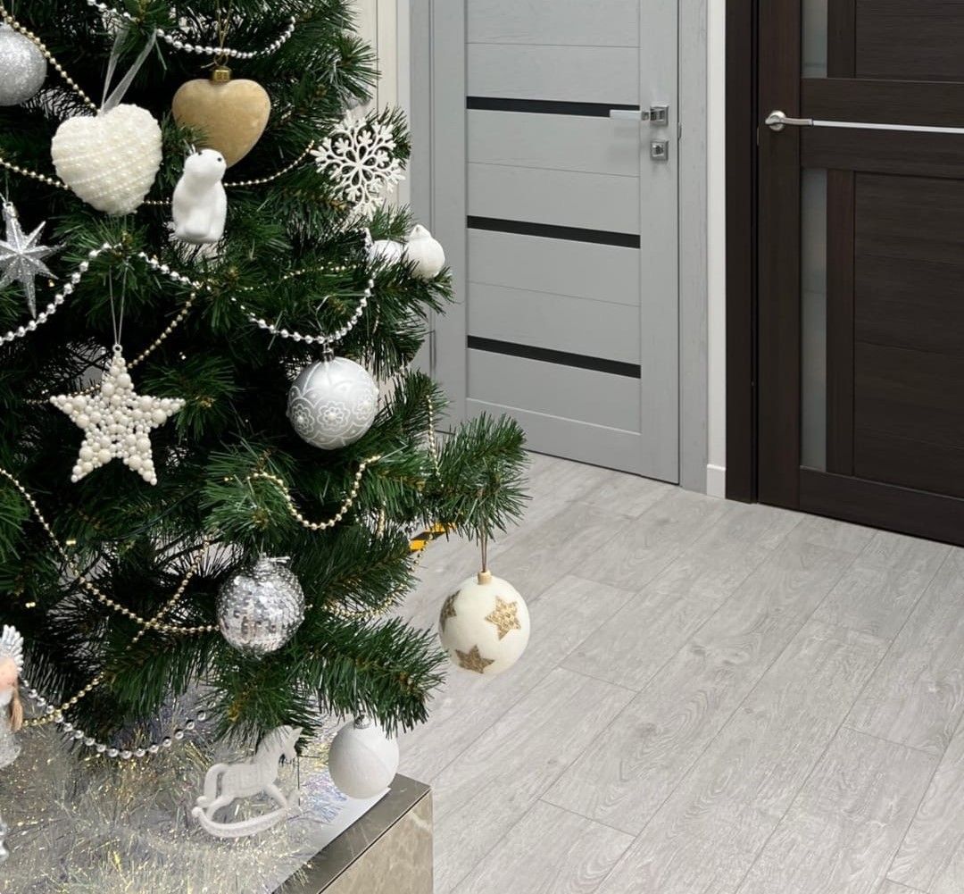 Двери Нева в 2023