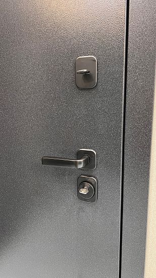 Входная дверь  