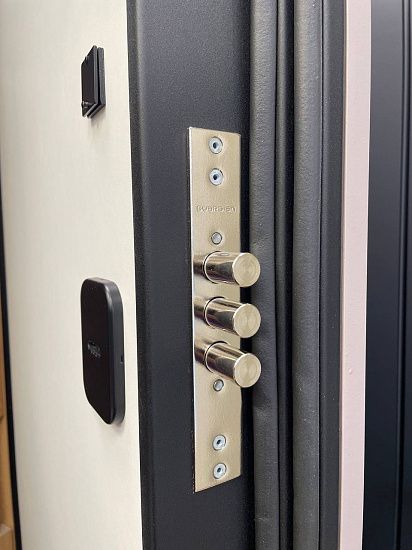 Входная дверь  