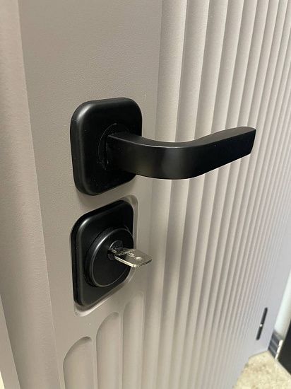 Входная дверь  