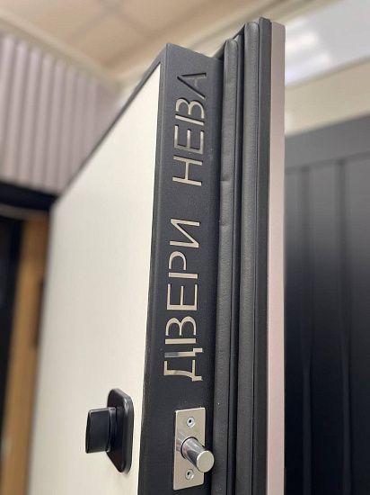 Входная дверь  