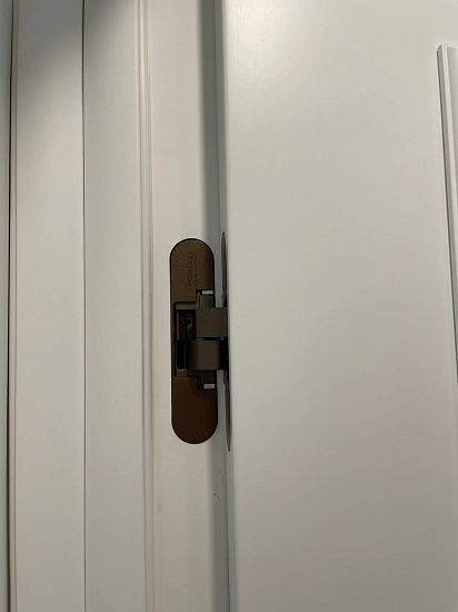 Межкомнатная дверь  